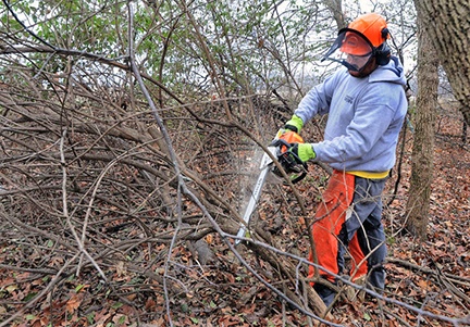 Crews prepare the way for preserve and park in Illinois