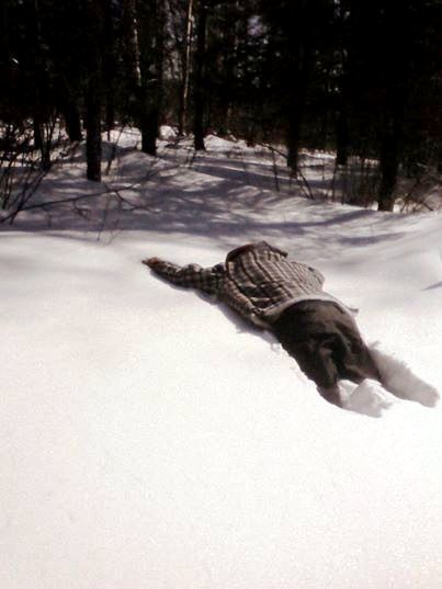 What are these pancakes on my feet and why do I need them?: A Southerner’s guide to snowshoes