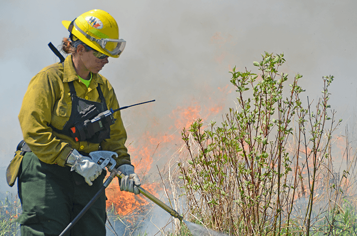 Restoring prairie with fire