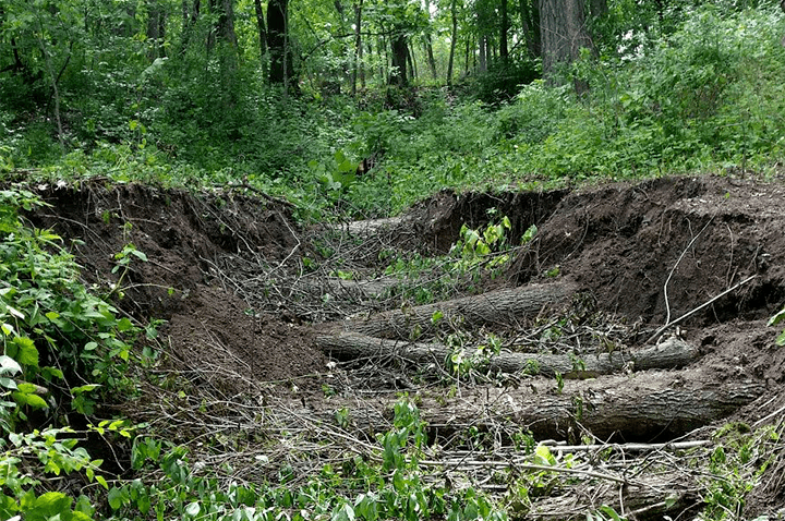 Erosion control and gully repair: muddy and rewarding work