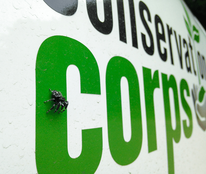 spider on conservation corps truck