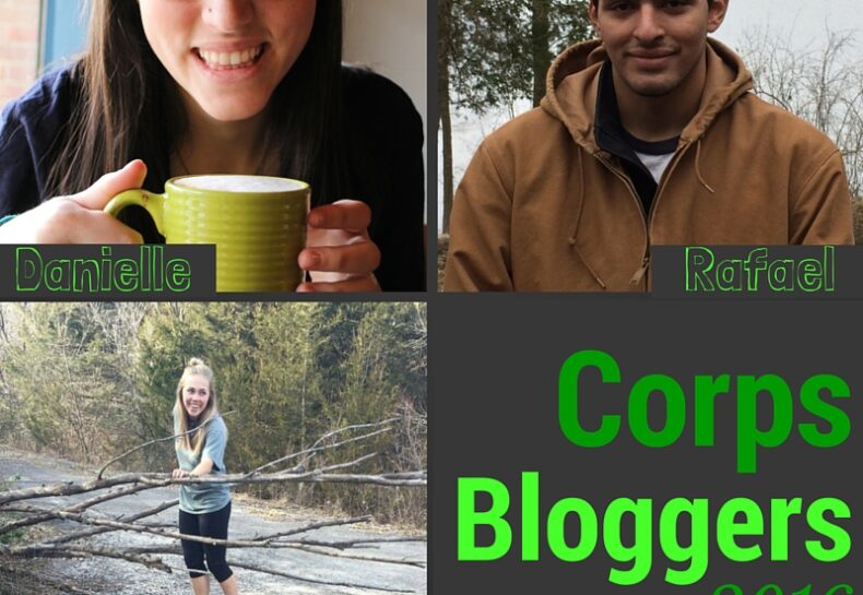 Welcome 2016 Bloggers!