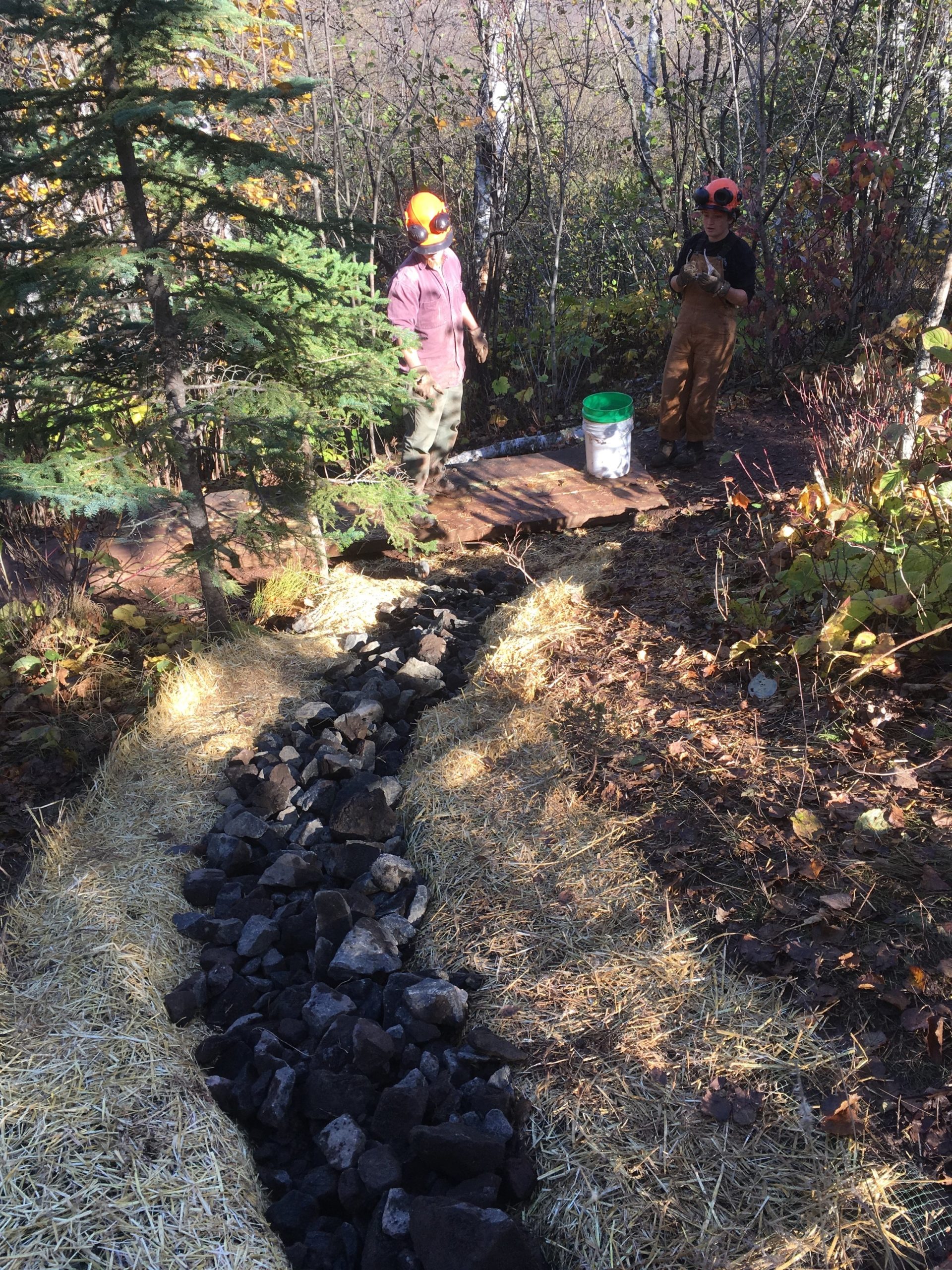 Two people construct a forest trail.