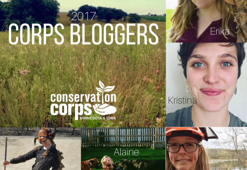 Meet our 2017 bloggers!
