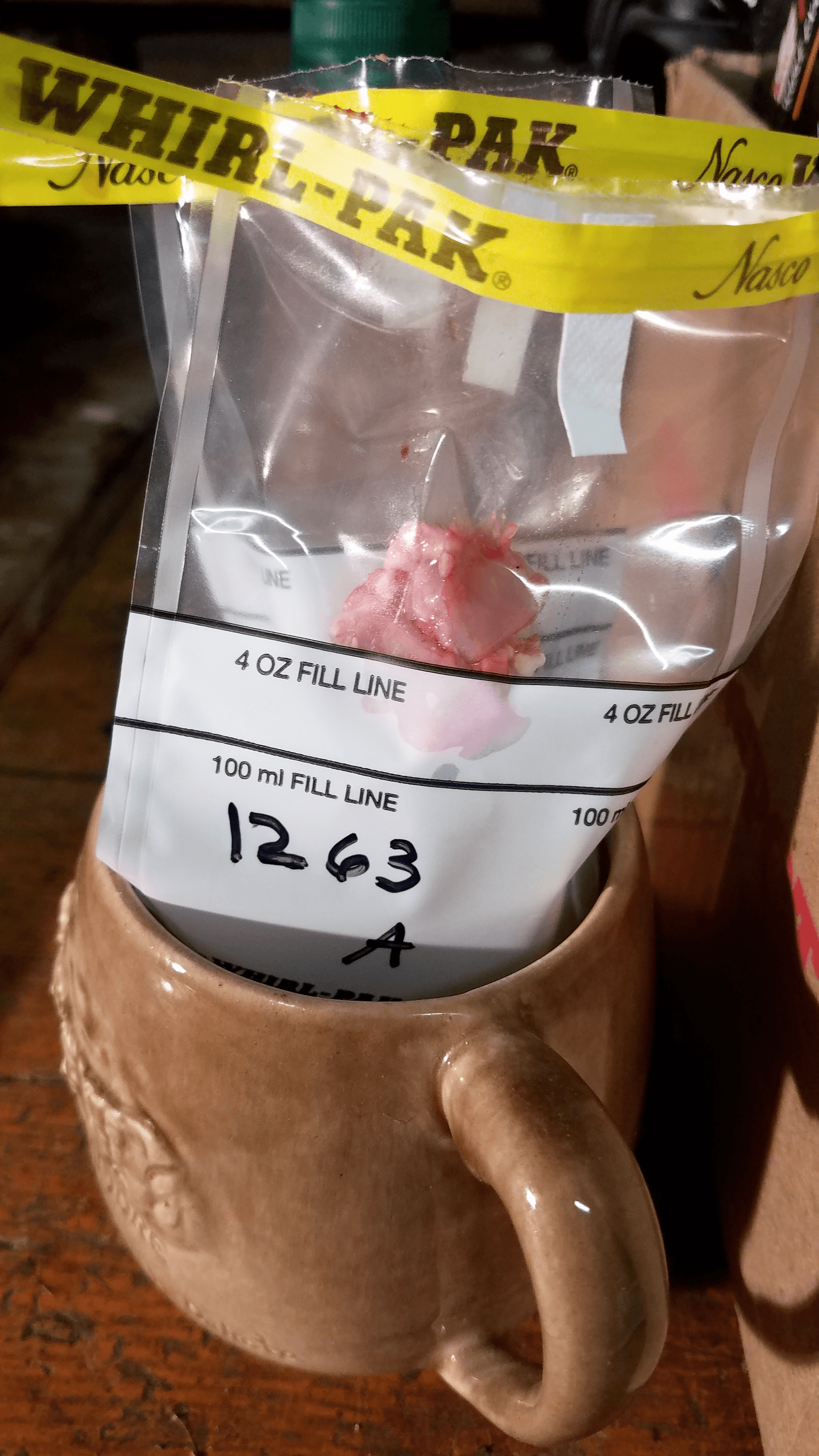 Close up of a sample bag with a lymph node inside. The bag is sitting in a brown ceramic mug and the label reads "1263 A"