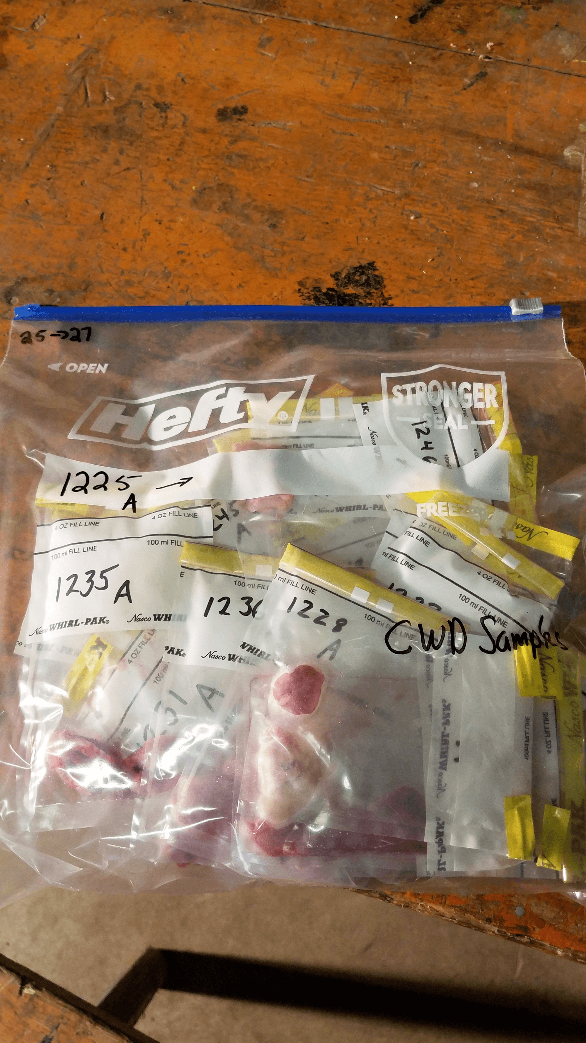 A gallon sized Hefty zip-seal bag filled with samples. In black sharpie, the large bag is labeled "CWD Samples"