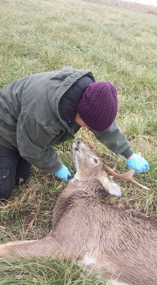 Crew member (Amy) kneeling on the ground, holding the antlers of a dead deer in her left hand and a knife in her right hand. 