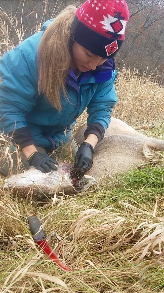 Crew member (Tamara) leaning over a deer carcass in a field of grass.