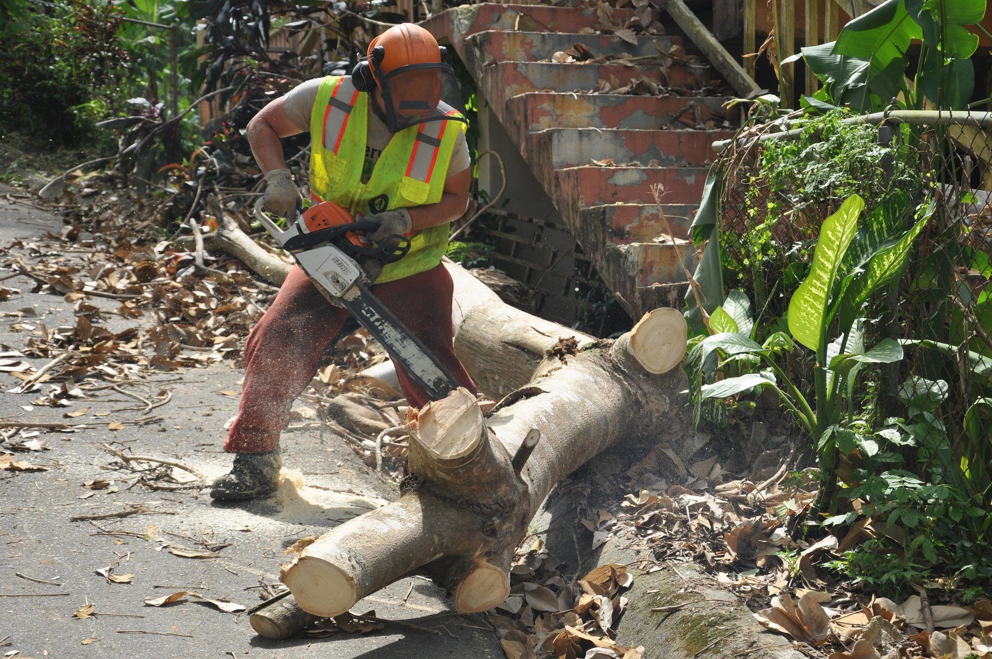 A crew member cutting a tree trunk with a chainsaw 
