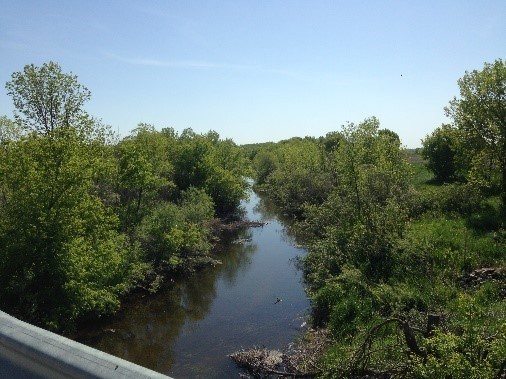 forested riverway