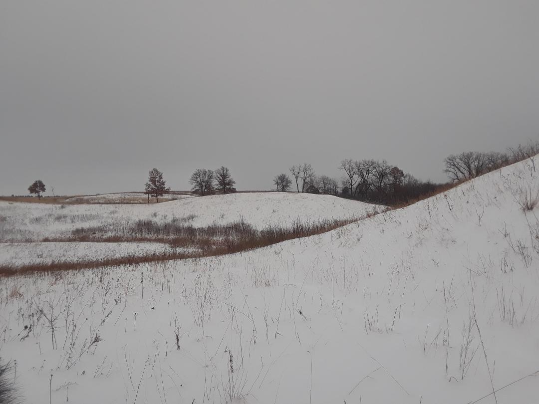 snowy hills