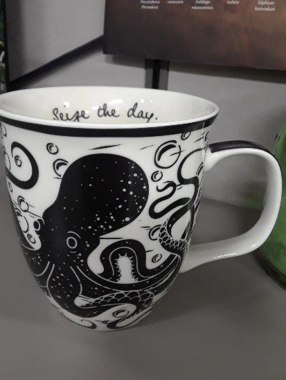 Octopus mug that says "seize the day"