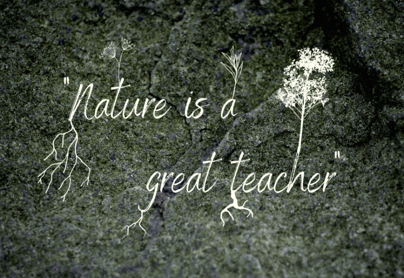 Lessons from Nature
