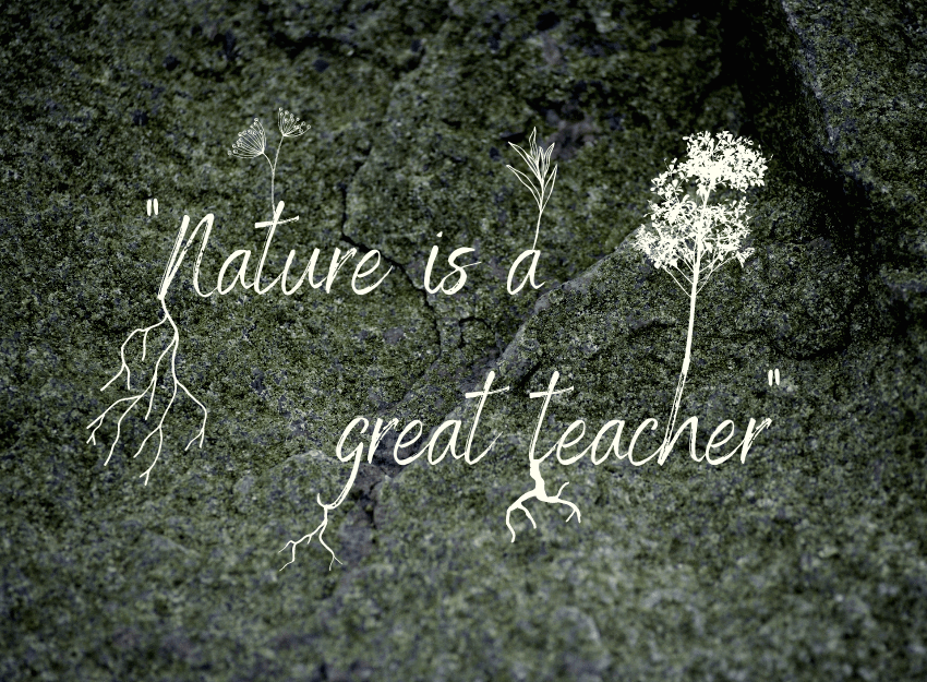 Nature is a great teacher