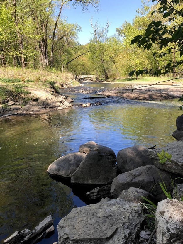 creek with boulders