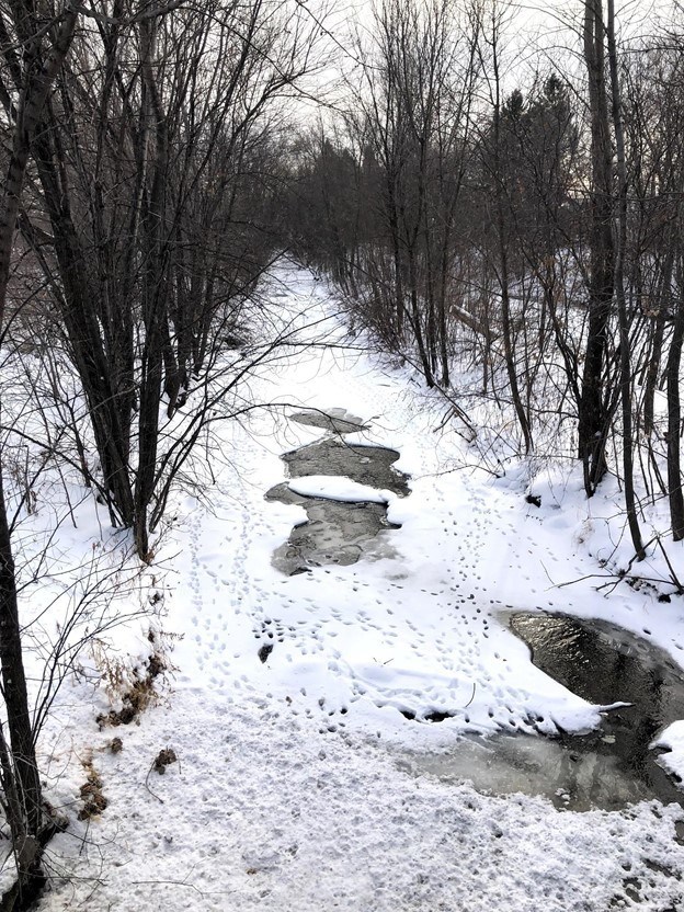 frozen stream