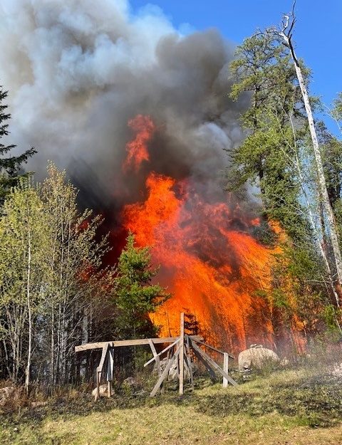 wildfire in pine forest