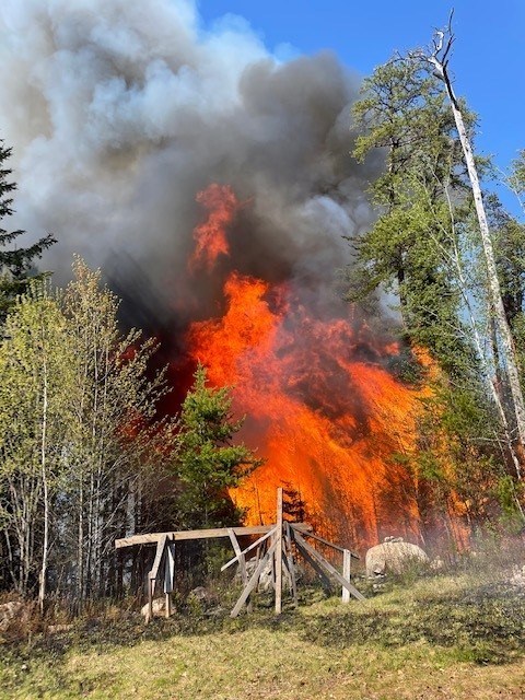 wildfire in pine forest