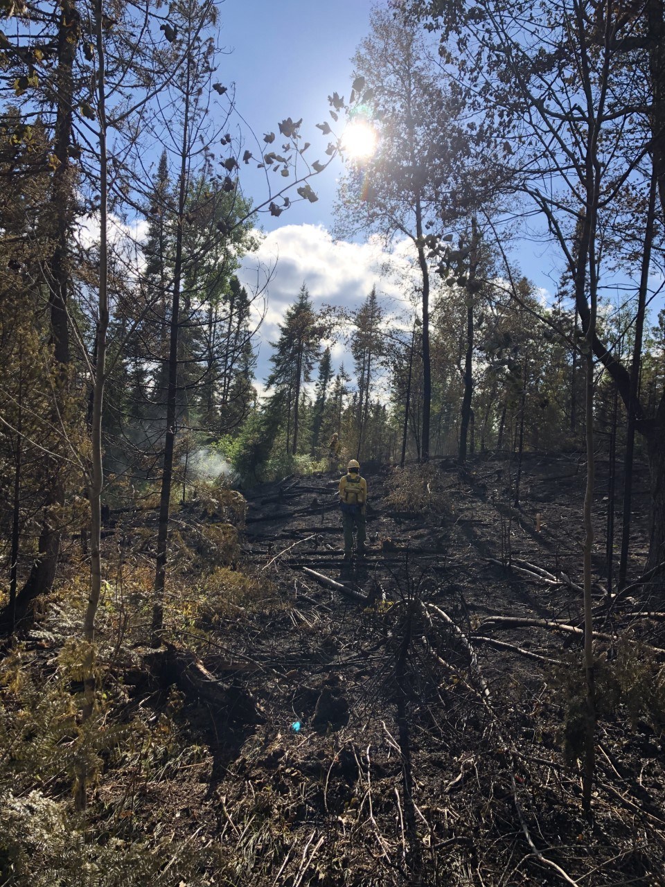 member standing in burned forest