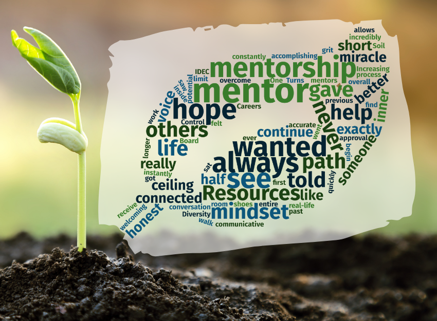 Word cloud in shape of leaf with mentor and mentorship as biggest words.