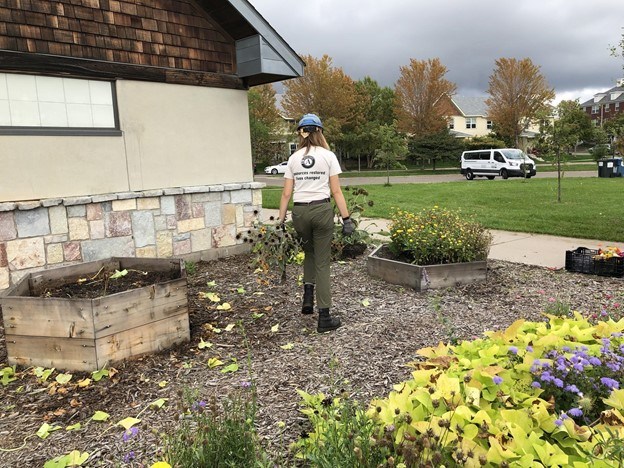AmeriCorps member carrying two dug out flowers in each hand to clear out flower beds and walking them to a pile.