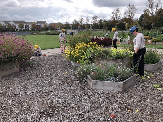 Four youth standing around flower beds and cutting flowers.