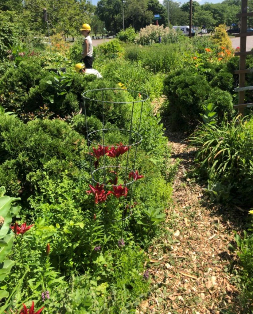 lush garden