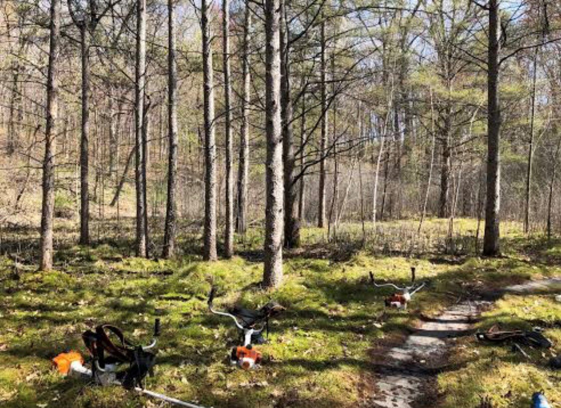 path through a bog with tools on side