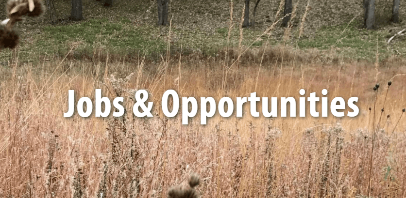 Jobs and Opportunities