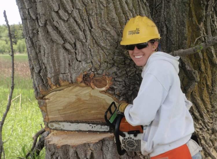 Woman cutting tree with chainsaw