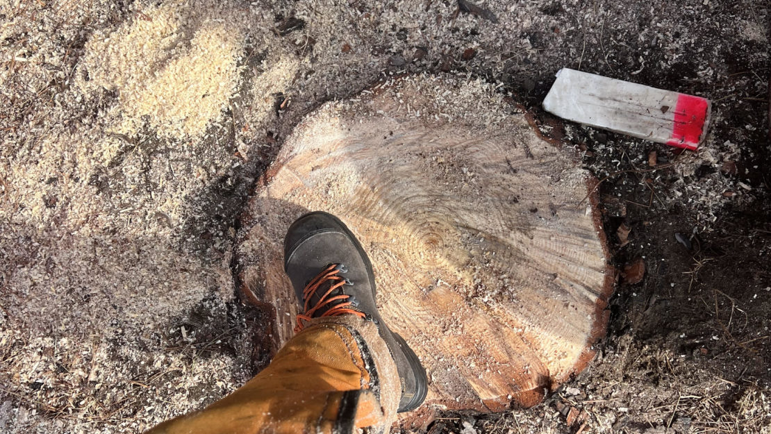 boot stepping on tree stump