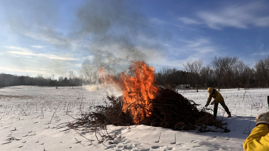 pile of sticks burning in field
