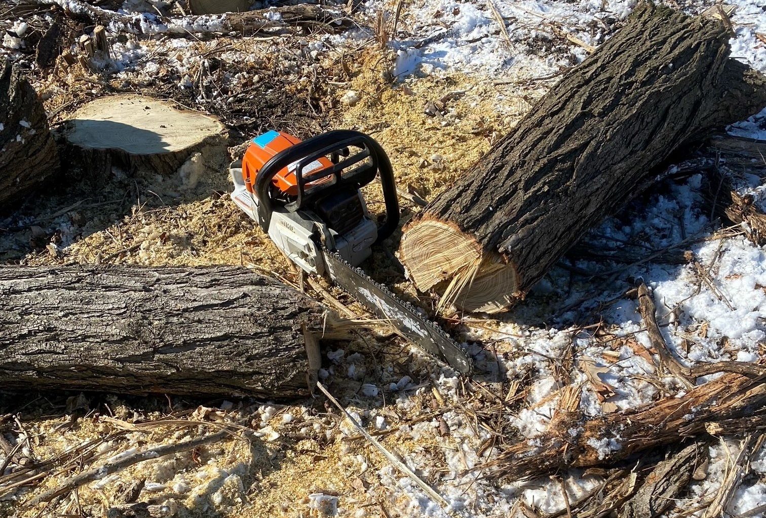 chainsaw on ground next to cut log