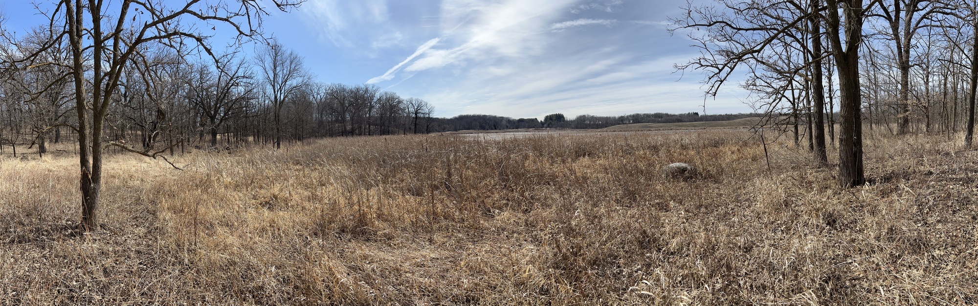 panorama of prairie