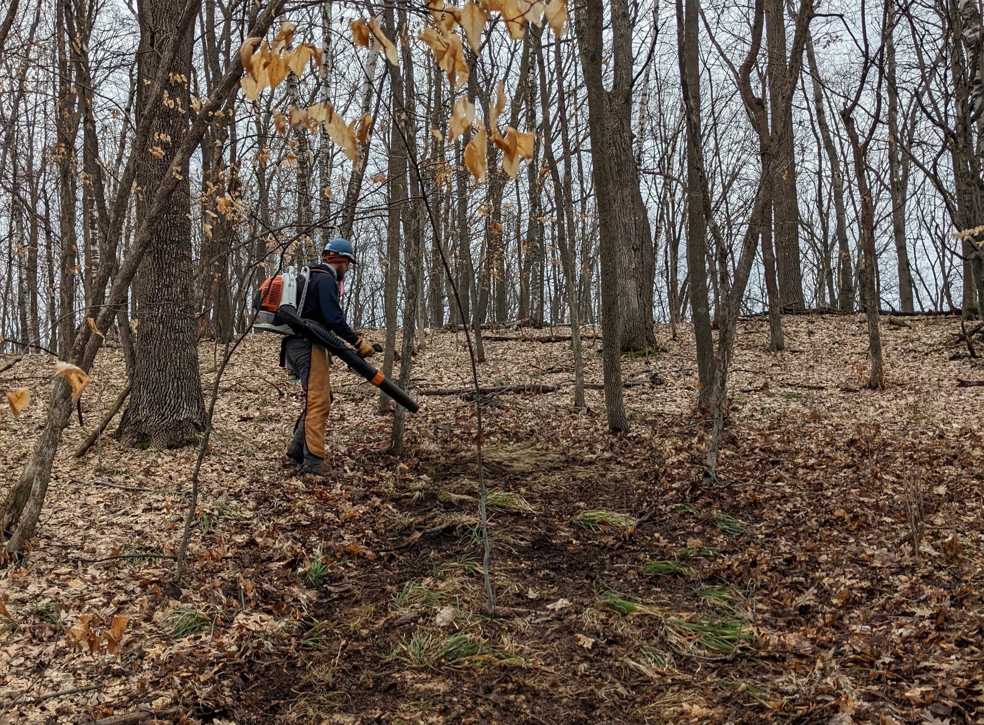 person using leaf blower in forest