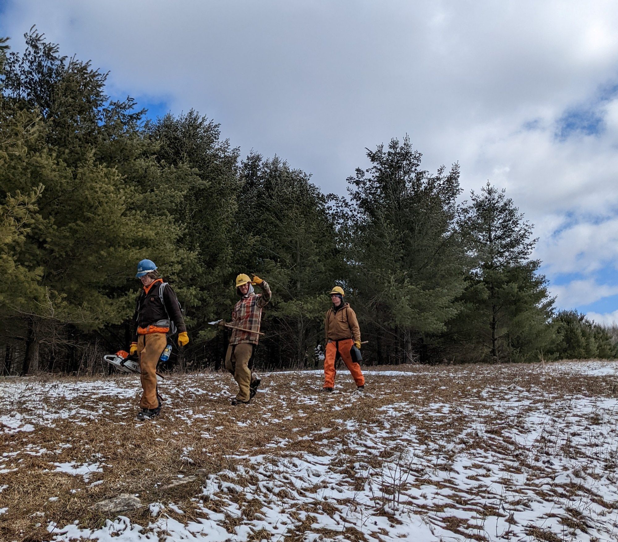 walking on forest edge with chainsaws