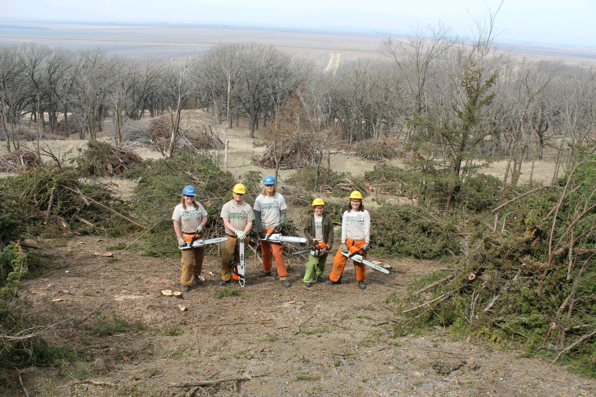 group holding chainsaws standing by piles of brush