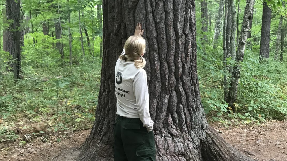 woman placing hand on large tree trunk