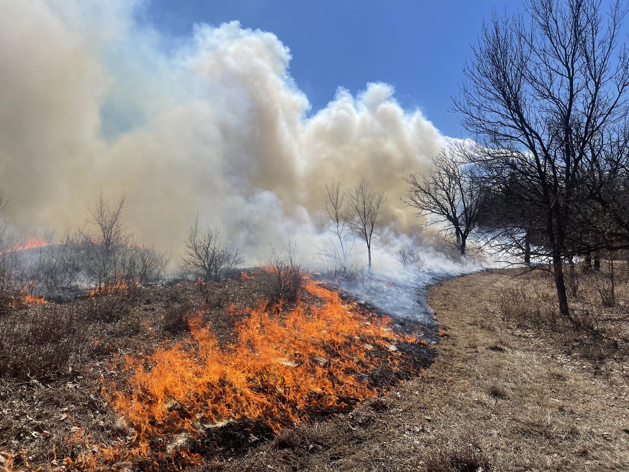 smokey fire in prairie grass