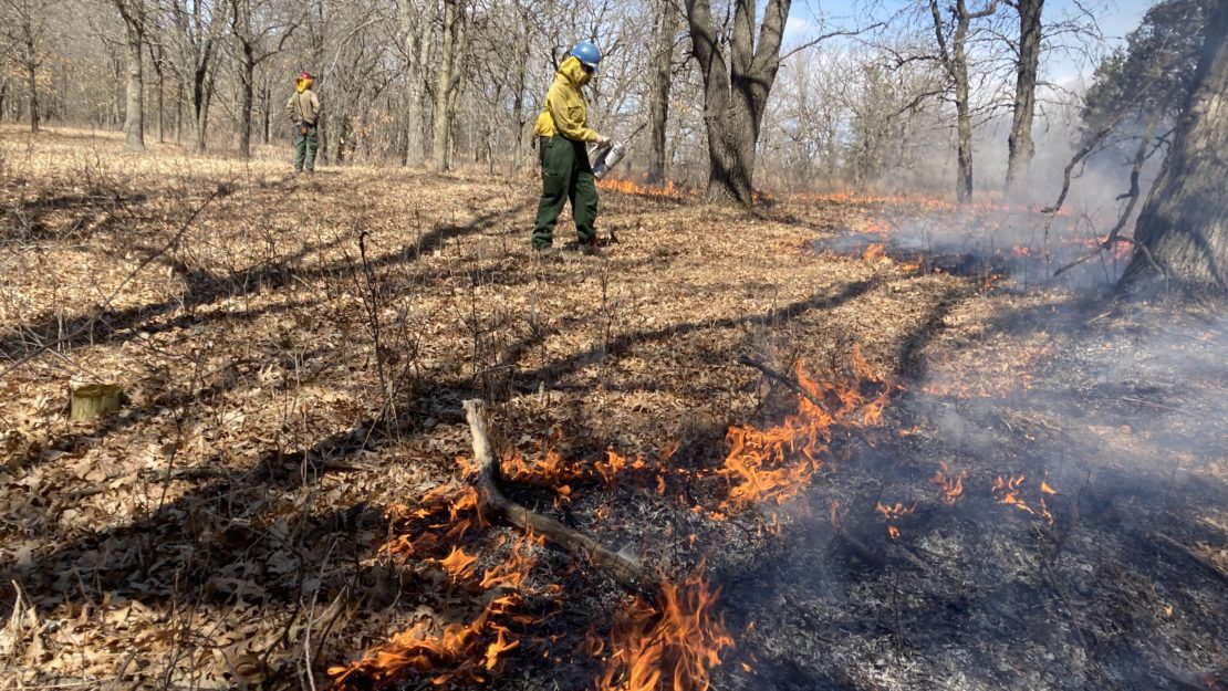 person in fire gear behind a line of fire on the ground