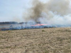 fire in a grassland