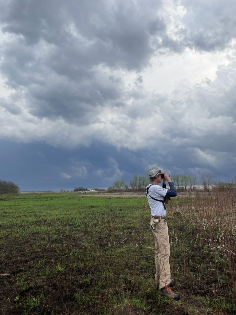 looking at dark clouds in a field