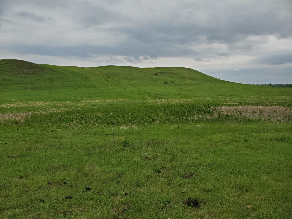 grassy hill on cloudy day