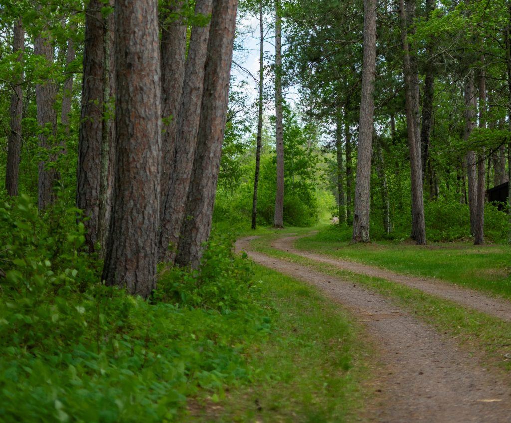 Summer Youth Corps Update – Conservation Corps Minnesota & Iowa