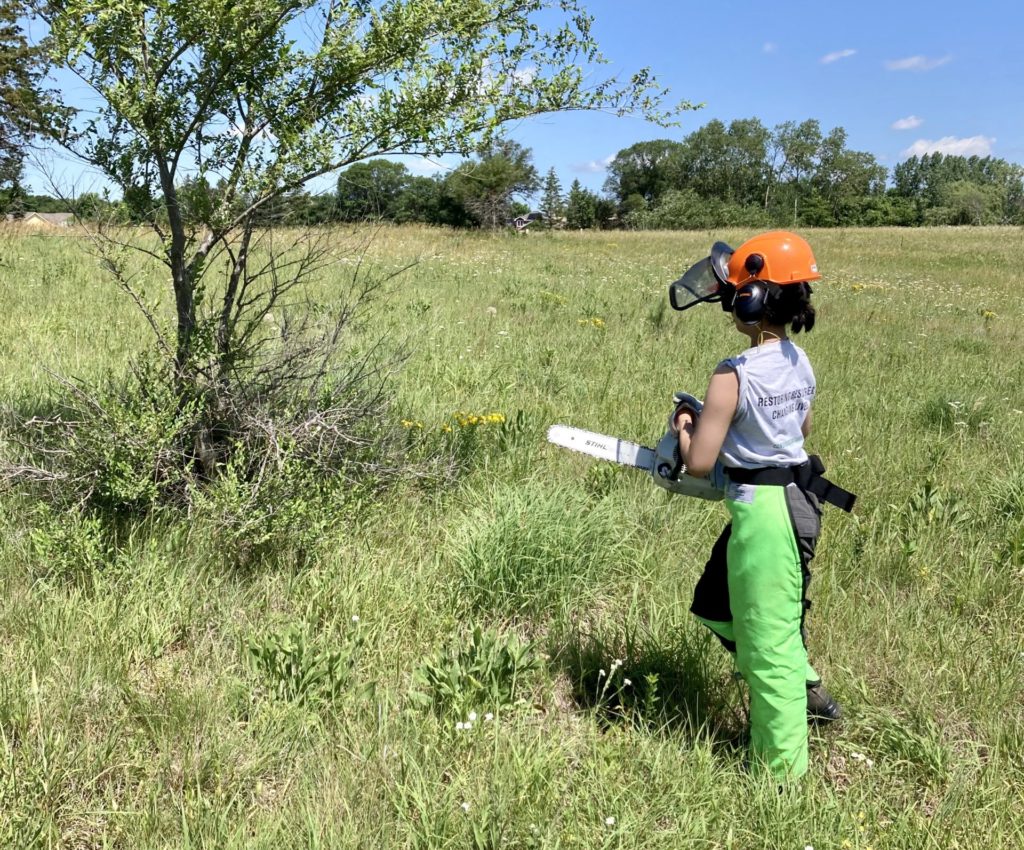 person holding chainsaw in field