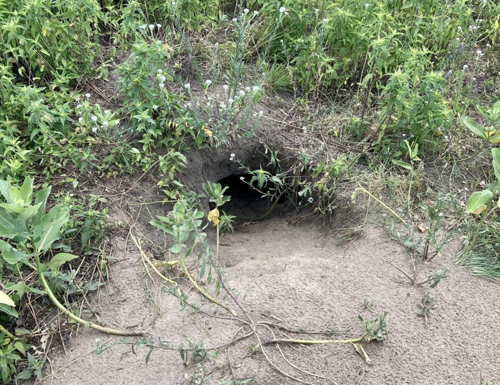 hole in ground