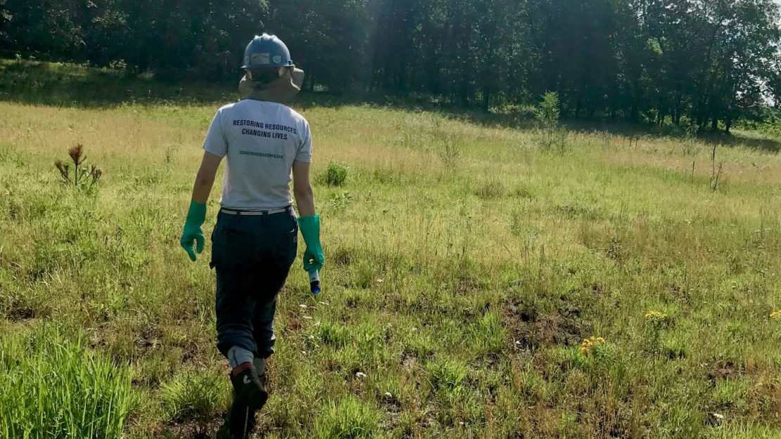 person walking through field