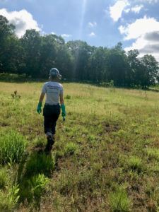 person walking through field