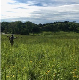 person standing in field