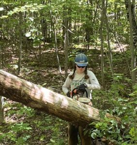 member cutting with chainsaw